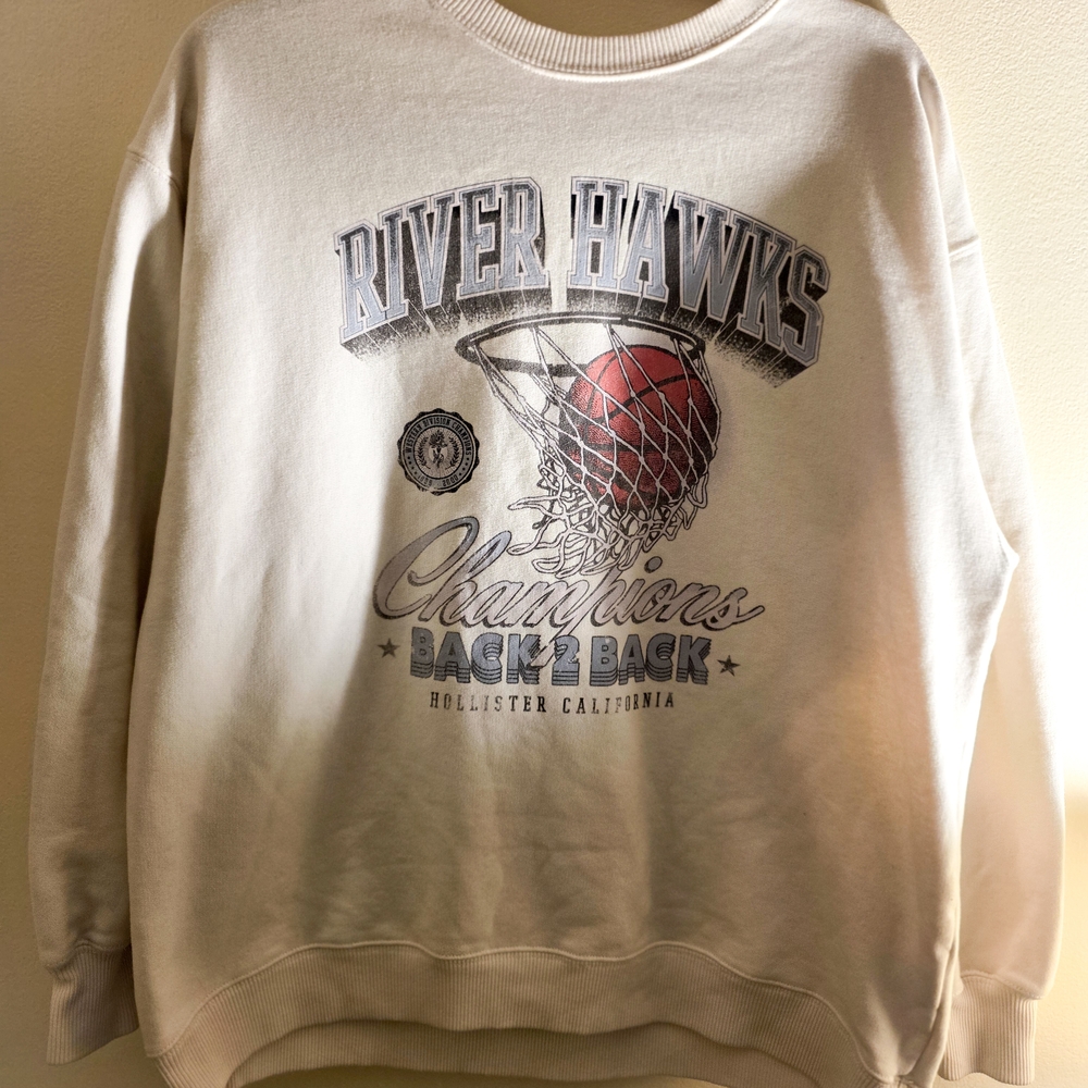 Hollister Cream River Hawks Crewneck Sweater
